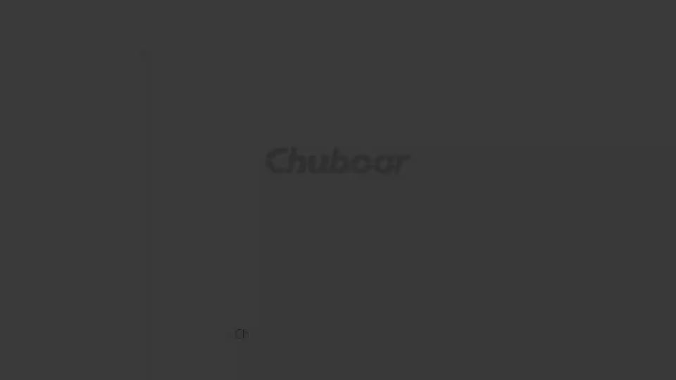 CHUBOOR P16 Suction & Blowing Vacuum Cleaner HEPA Filter, Car Vacuum Cleaner With 15000PA Strong Suction, 8000mAh Battery, Working Time 20-25 Minutes. Comes With 6 Nozzles And 1 Extra HEPA Filter As G